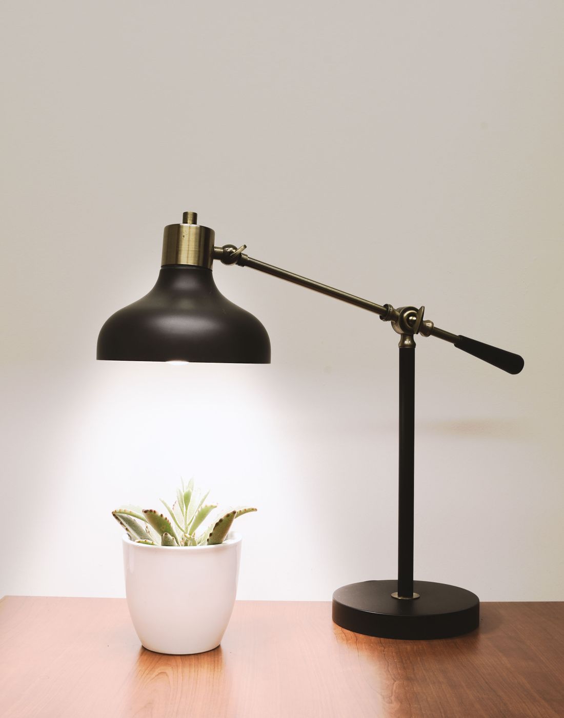 A black desk lamp illuminating a succulent on a table.
